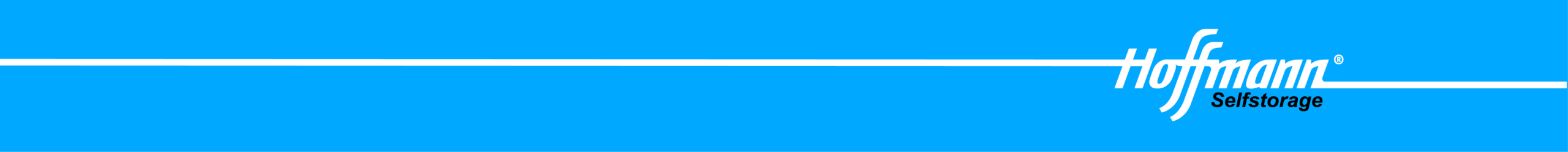 logo selfstorage new